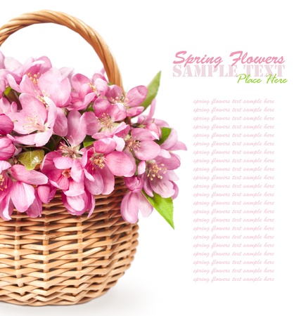 basket with pink spring flowers isolated on whiteの写真素材