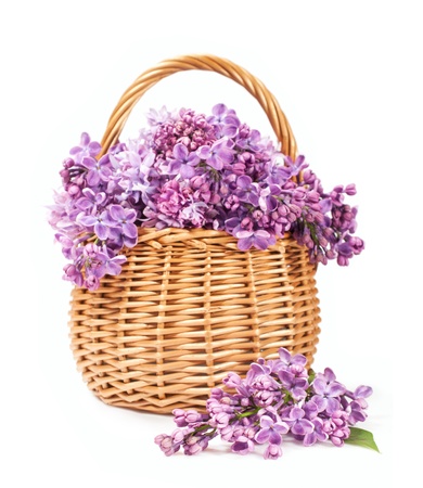 bouquet of lilac in a wicker basket on a white background
の写真素材