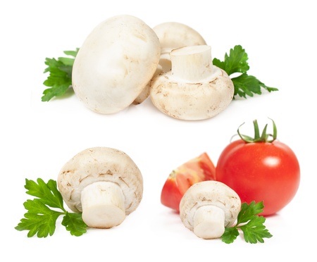 mushrooms and tomatoes close-up isolated on white
の写真素材