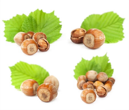 set of hazelnuts with leaves isolated on whiteの写真素材