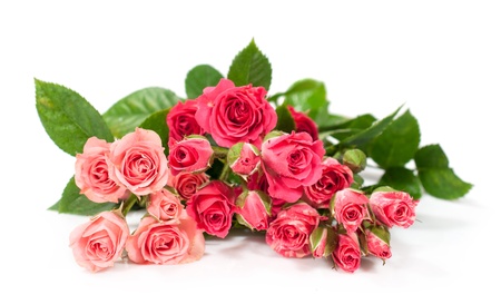 bouquet of pink roses isolated on whiteの写真素材