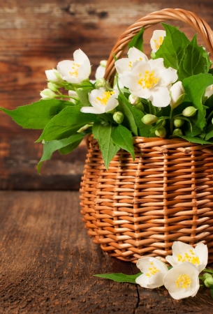 blooming jasmine in a basket on a wooden backgroundの写真素材