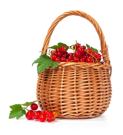 ripe currant in a basket isolated on whiteの写真素材