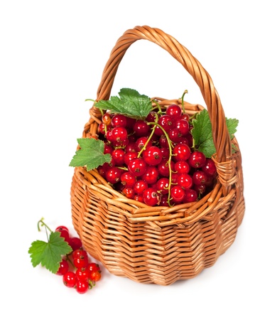 Ripe red currant in a basket isolated on whiteの写真素材