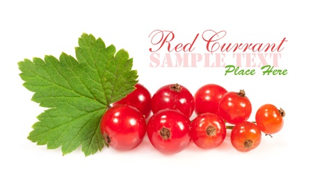 a sprig of red currant close-up isolated on whiteの写真素材