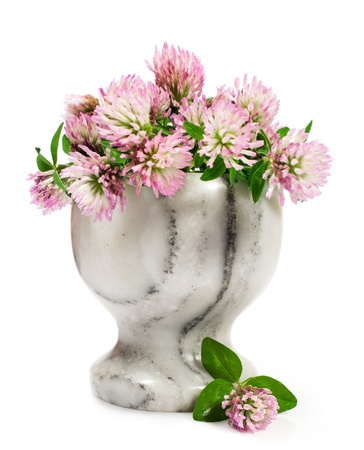stone mortar with flowering clover isolated on whiteの写真素材