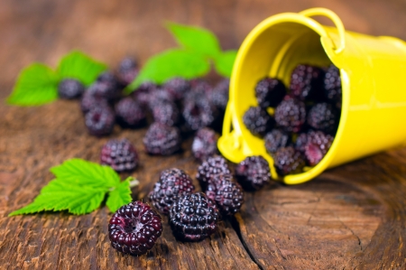 blackberries in a small bucket on a wooden backgroundの写真素材