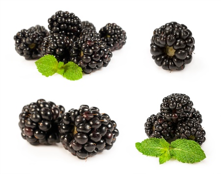set blackberries close-up isolated on whiteの写真素材