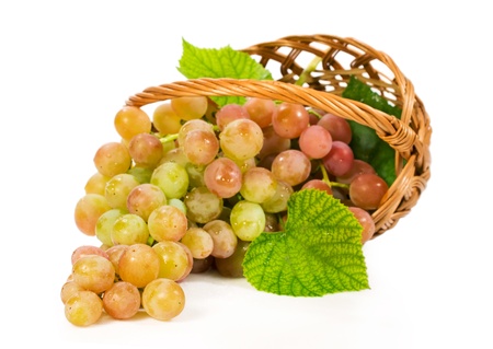 ripe grapes in a wicker basketの写真素材