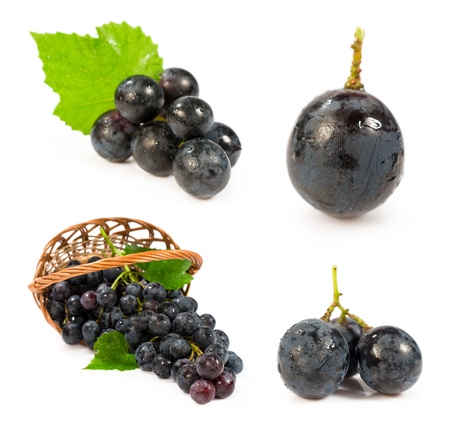 set of images with a blue grapes isolated on whiteの写真素材