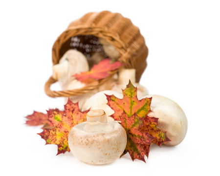 mushrooms with autumn leaves , and wicker basket isolated on whiteの写真素材