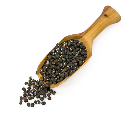 wooden shovel with black lentil isolated on whiteの写真素材