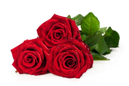 bouquet of red roses isolated on whiteの写真素材