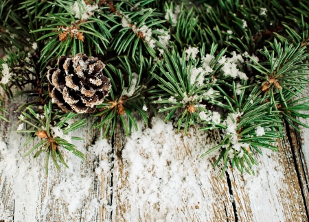 spruce branches with cones and snow on a wooden backgroundの写真素材