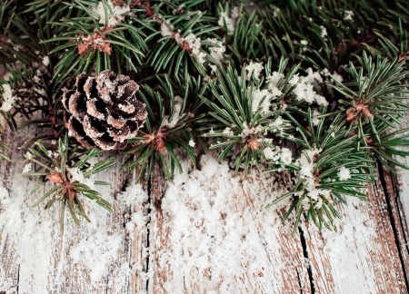 spruce branches with cones and snow on a wooden backgroundの写真素材