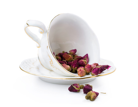 porcelain cup with buds of roses isolated on whiteの写真素材