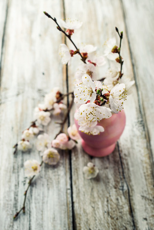 apricot blossoms in pink vase on a wooden tableの写真素材
