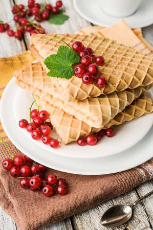 Breakfast. Waffles with red currantsの写真素材