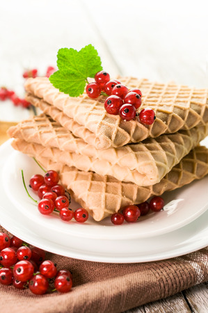 Breakfast. Waffles with fresh red currantsの写真素材