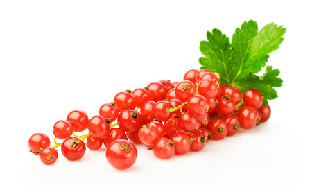 Bunch of red currant, isolated on whiteの写真素材