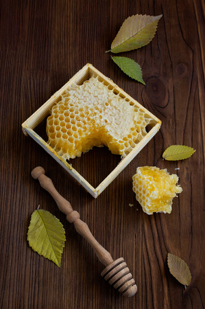 Honeycomb with a wooden dipper and fall leavesの写真素材