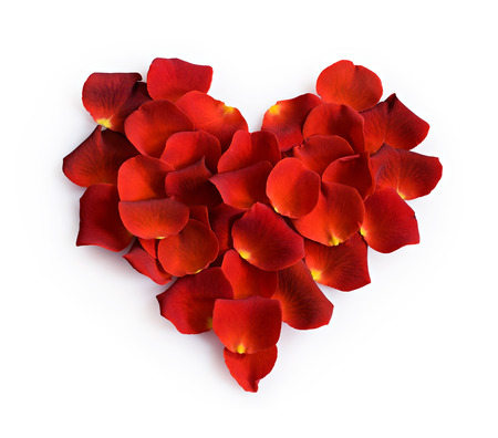 Heart of red rose petals isolated on a white backgroundの写真素材
