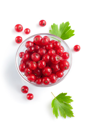 Ripe fresh red currants isolated on white backgroundの写真素材