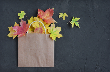 Colorful autumn leaves in a brown craft bag. Sale and shopping concept.の写真素材