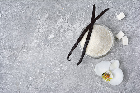 Vanilla pods with a flower and sugar as ingredient for baking on gray concrete backgroundの写真素材