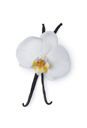 Vanilla sticks with a flower as ingredient for baking isolated on white backgroundの写真素材