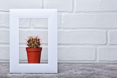 Red flower pot with small cactus in white frame with copy space on gray concrete and brick wall backgroundの写真素材