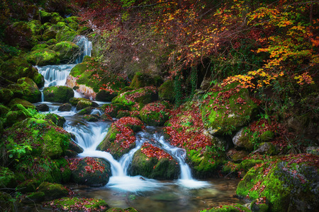 Colorful picturesque autumn landscape of beautiful river with small waterfalls on green mossy stones and fallen leavesの写真素材