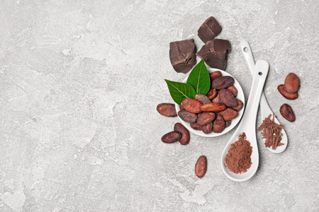 Flatlay of cocoa beans and powder with chocolate chunks for confectionery on gray concrete background with copy spaceの写真素材