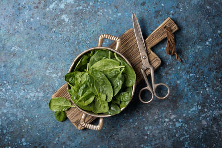 Top view of vintage baking dish with green fresh baby spinach and scissors on wooden board and blue concrete backgroundの写真素材