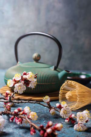 Beautiful spring composition with traditional turquoise asian cast iron kettle, bamboo whisk or chasen and flowering branches of apricot tree on blue concrete backgroundの写真素材