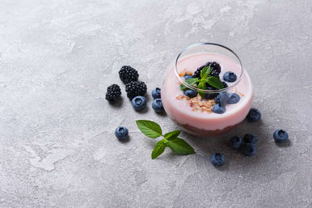 Tasty chocolate pudding or sweet mousse with yogurt, blueberry, blackberry, granola and mint in portion glass on grey concrete backgroundの写真素材