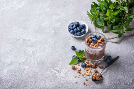 Tasty chocolate pudding or sweet mousse with yogurt, blueberry, blackberry, granola and mint in portion glass on grey concrete background with copy spaceの写真素材
