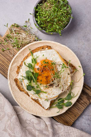 Top view of sandwich with fried egg, toast, alfalfa and green pea sprouts microgreen for breakfast...