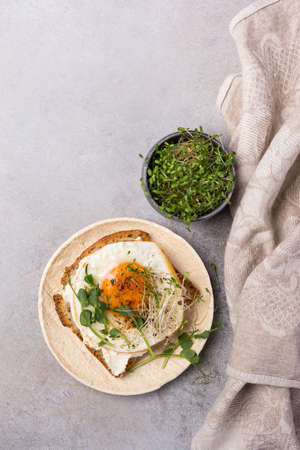 Top view of sandwich with fried egg, toast, alfalfa and green pea sprouts microgreen for breakfast on grey concrete backgroundの写真素材