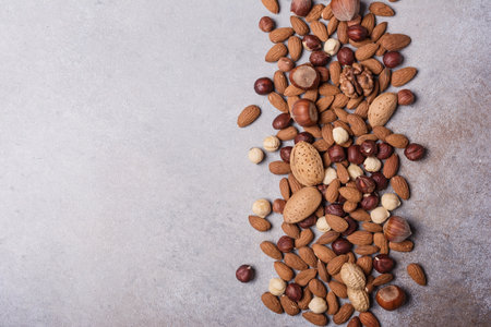 Top view of almond, hazelnut, walnut and peanut nuts in a row on grey concrete background with copy spaceの写真素材