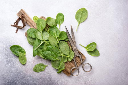 Top view of green fresh baby spinach on wooden board and grey concrete backgroundの写真素材