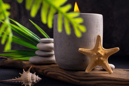 Candle in grey concrete with shells, green leaves of plant and stones for relax, bath, spa, cozy interior on dark backgroundの写真素材