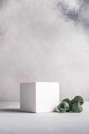 Minimal modern product display with white cube and eucalyptus branchの写真素材