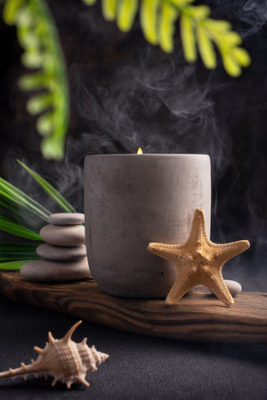 Candle in grey concrete with shells, green leaves of plant and stones for relax, bath, spa, cozy interior on dark backgroundの写真素材