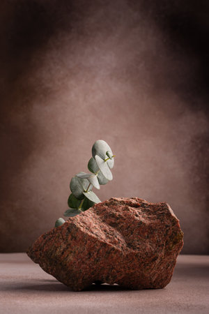 Mockup for organic cosmetic or other product. Natural stone pedestal with green eucalyptus branch on brown backgroundの写真素材