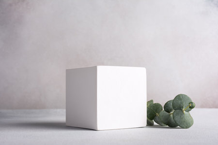 Mockup for cosmetic or other product. White cube pedestal with green eucalyptus branch on grey backgroundの写真素材