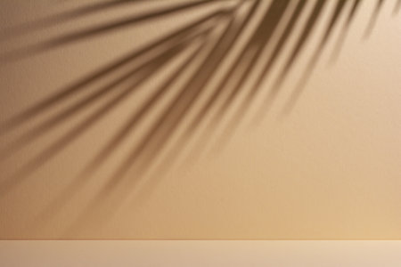 Abstract background of shadows palm leaves on a sand color wall. Summer beach concept with palm tree leaf.の写真素材