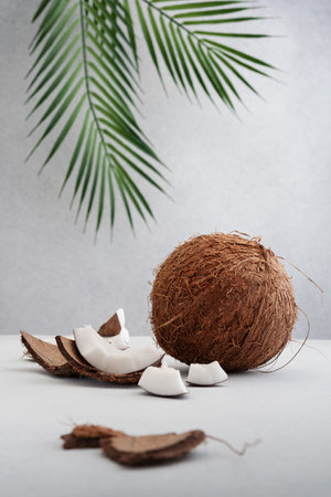 Whole coconut fruit and broken pieces on gray background with palm leavesの写真素材