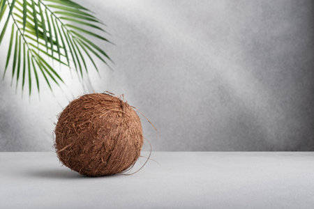 Whole coconut fruit with palm leaves on gray backgroundの写真素材