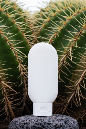 Plastic white tube for cream or lotion on background with a cactus. Beauty concept for face body care.の写真素材
